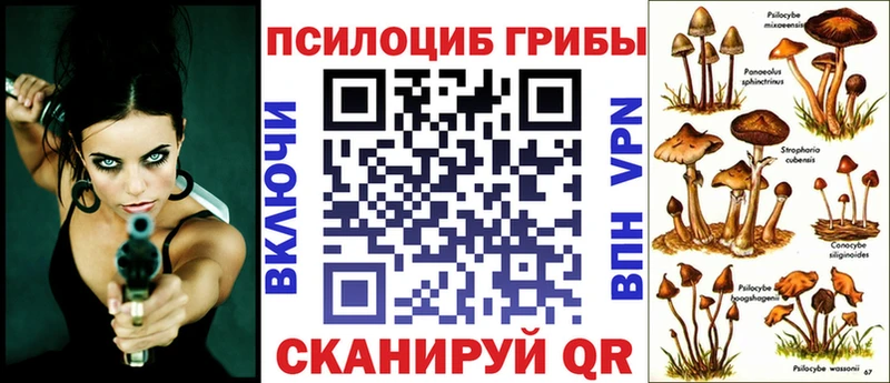 дарнет шоп  Петровск  Галлюциногенные грибы MAGIC MUSHROOMS 